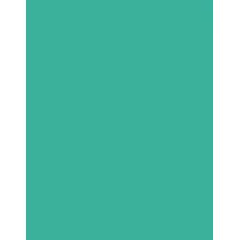 Gina K Designs Emerald Premium 100 lb Cardstock plemco