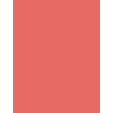 Gina K Designs Sunkissed Coral Premium 100 lb Cardstock plsuco