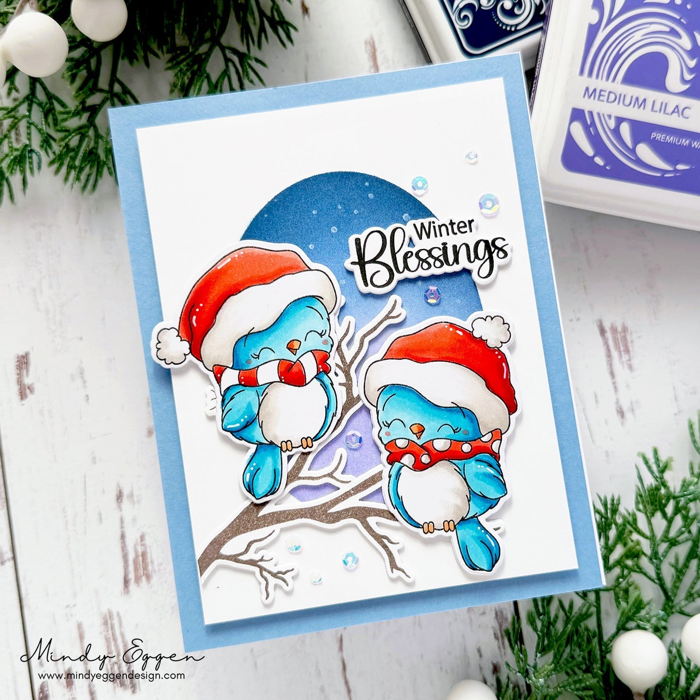 Gina K Designs Winter Tweetings Stamps and Dies Bundle dgdie0467 bluebirds winter blessings | color-code:alt1