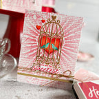 Hero Arts Heart Burst Stencil sa271 birdcage | color-code:ALT01