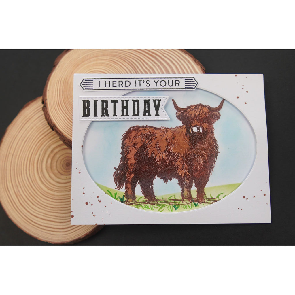 Simon Says Clear Stamps Highland Cows 2267ssc STAMPtember Birthday Card