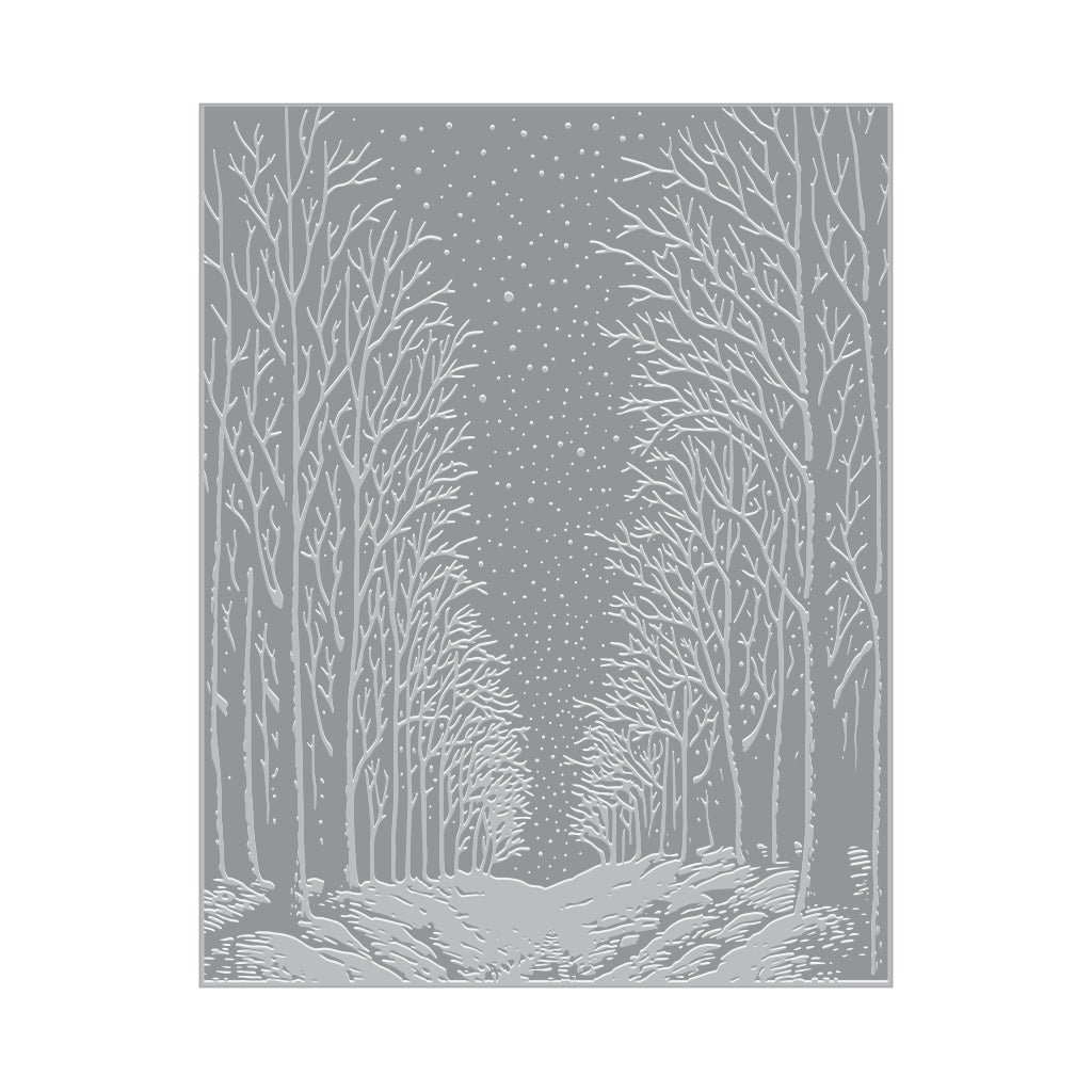 Hero Arts Snowy Night Press Plate and Foil Plate hp101