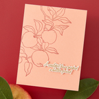 Hero Arts Apple Branch Clear Stamp Set cm822 friend