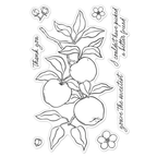 Hero Arts Apple Branch Clear Stamp Set cm822 product