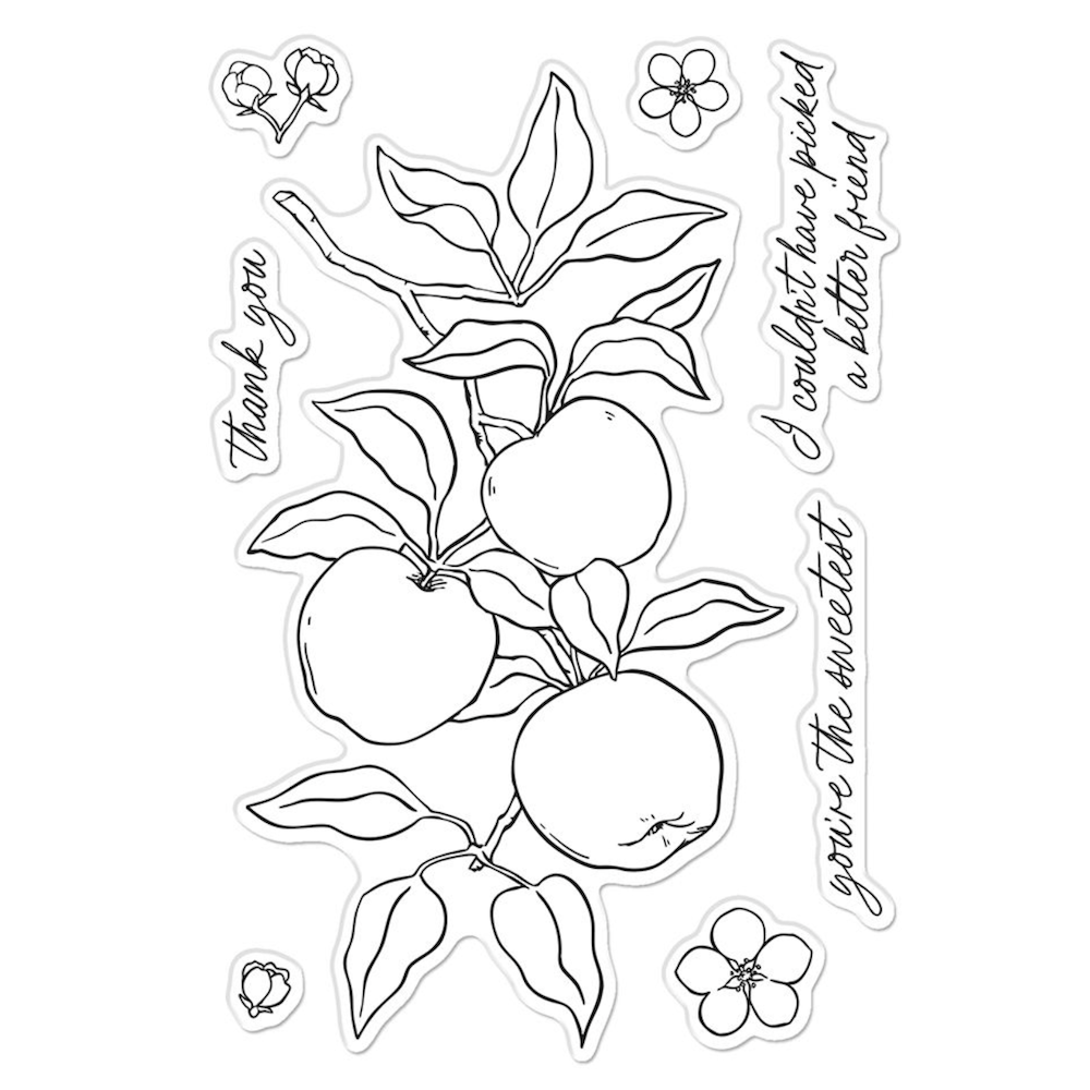Hero Arts Apple Branch Clear Stamp Set cm822 product