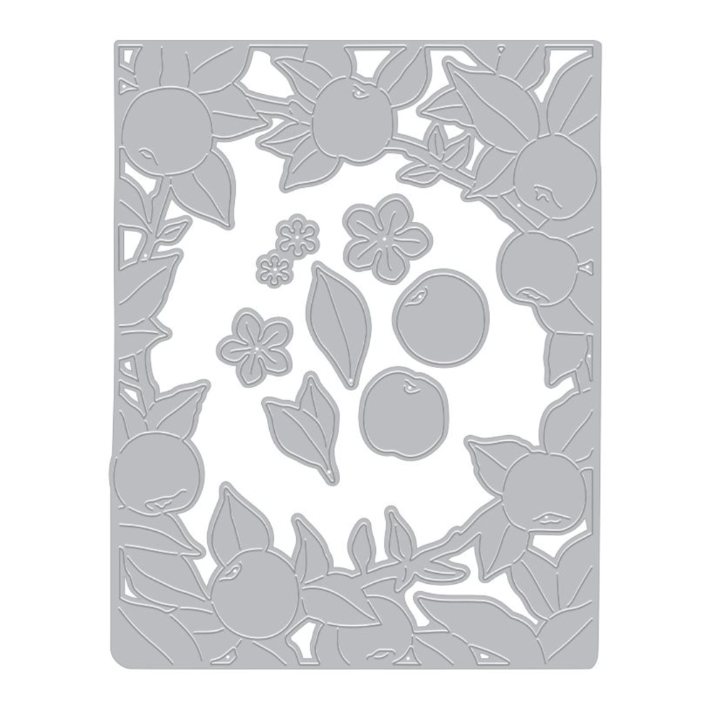 Hero Arts Apple Branch Die Set df264 product