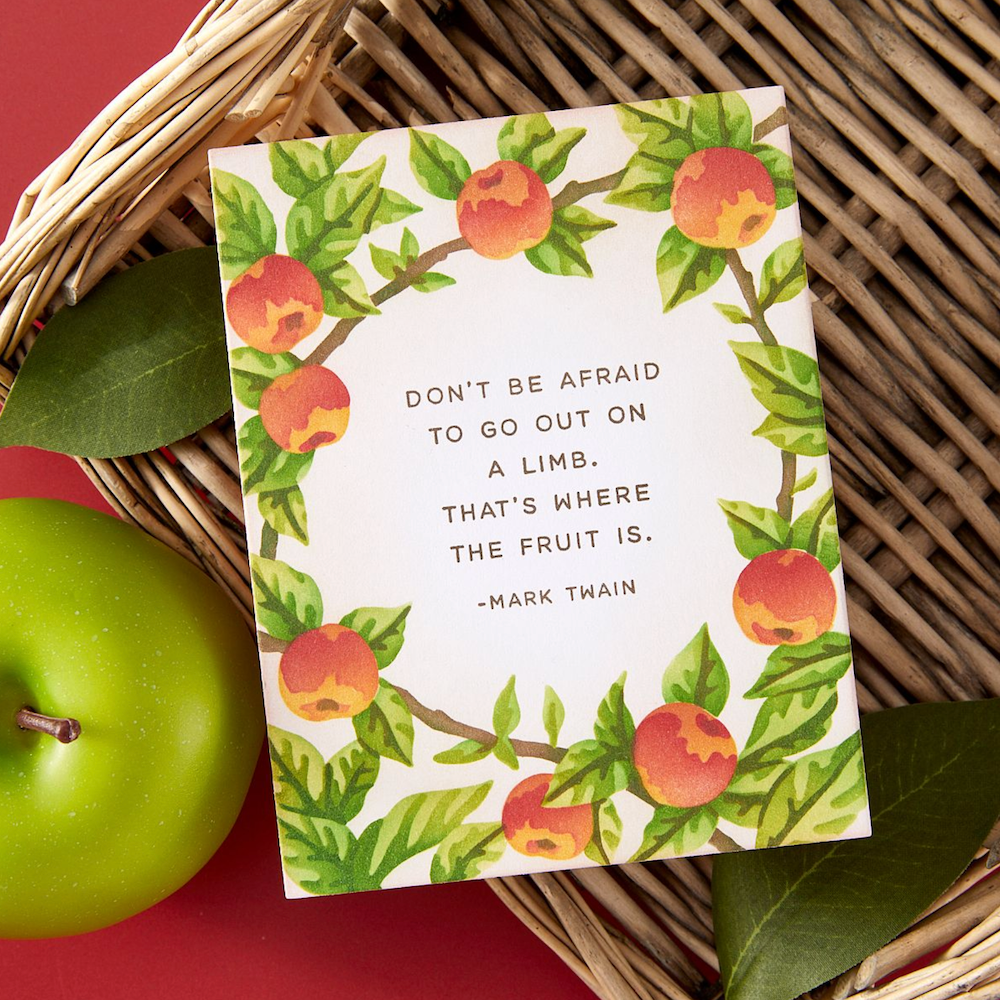 Hero Arts Apple Branch Stencil Set sa313 fruit