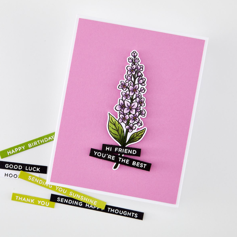 Hero Arts Everyday Sentiment Strips 2 Clear Stamp Set cm841 friend