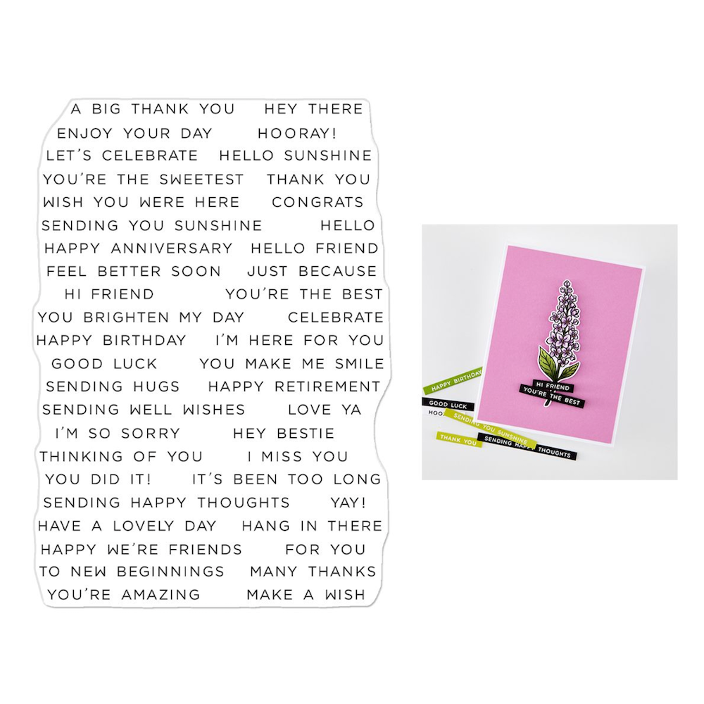 Hero Arts Everyday Sentiment Strips 2 Clear Stamp Set cm841 product