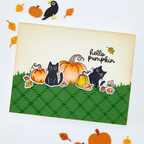 Hero Arts Hide and Peek Clear Stamp and Die Set dc377 hello pumpkin