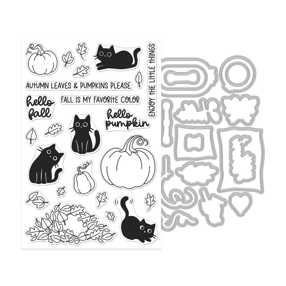 Hero Arts Hide and Peek Clear Stamp and Die Set dc377 product