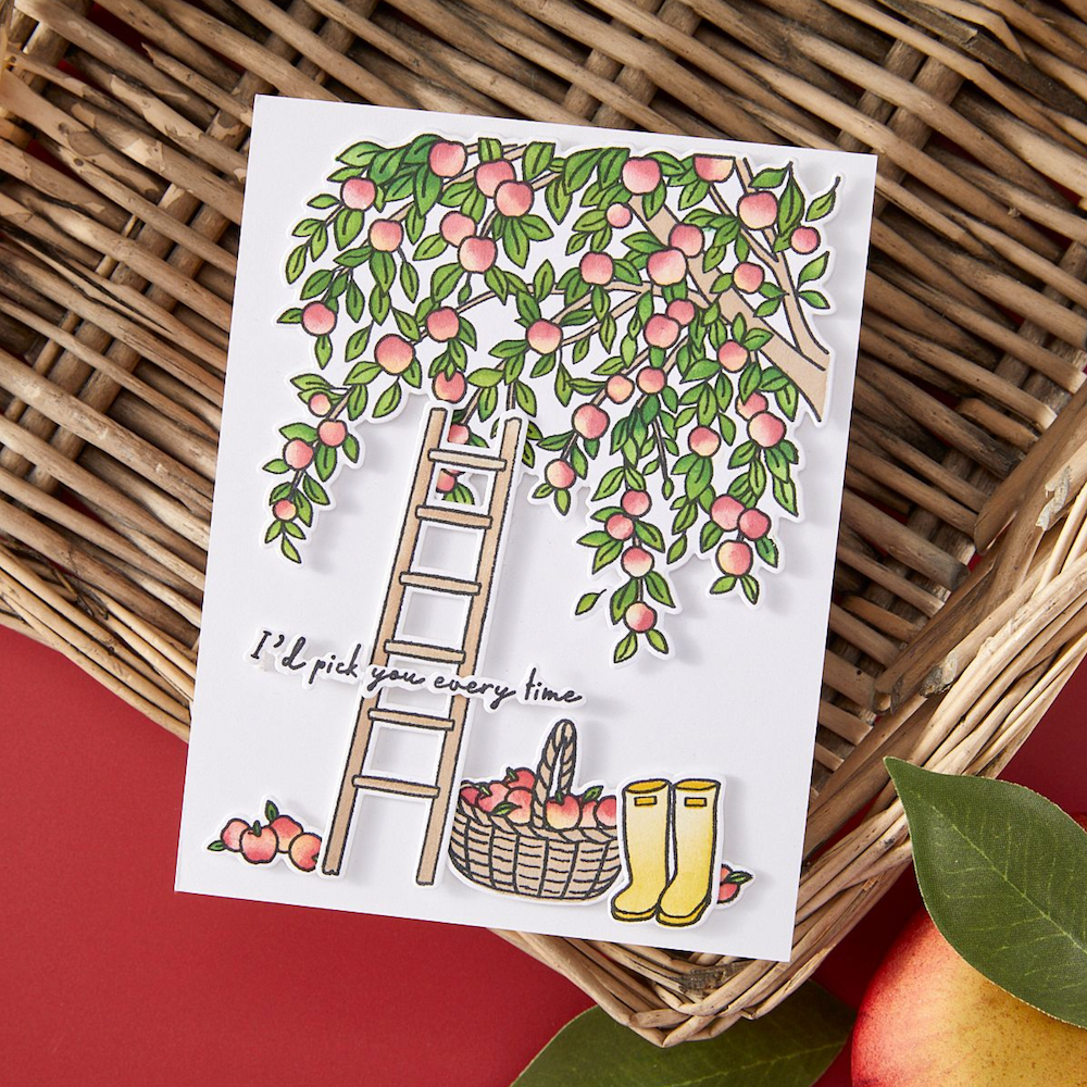 Hero Arts In The Orchard Stencil Set sa315 pick