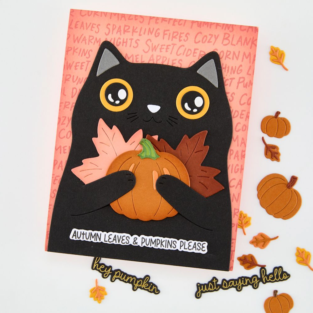 Hero Arts Kitty Squeezer Die Set df334 black cat