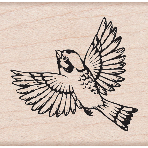 Hero Arts Little Finch Mounted Rubber Stamp f6506*