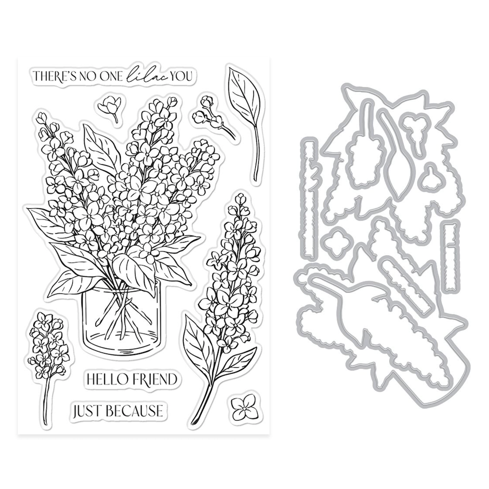 Hero Arts No One Lilac You Clear Stamp and Die Set dc344 product