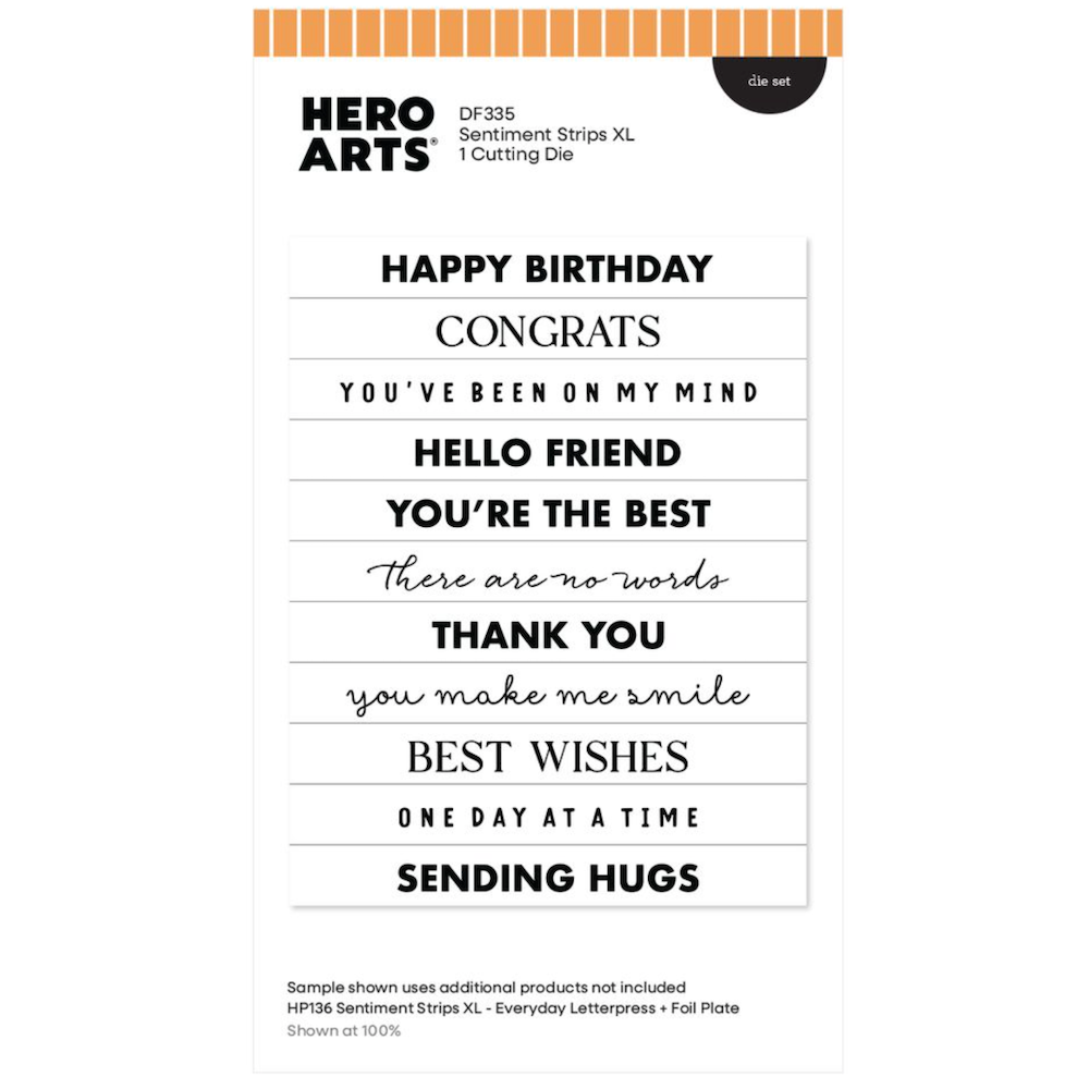 Hero Arts Sentiment Strips XL Die Set df335
