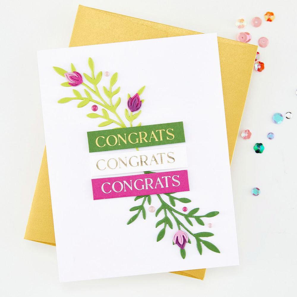 Hero Arts Sentiment Strips XL Die Set df335 congrats