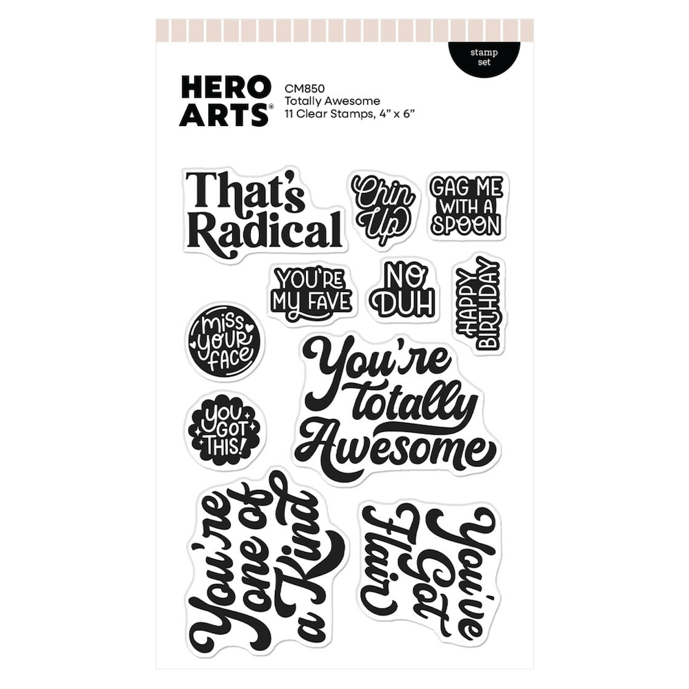 Hero Arts Totally Awesome Clear Stamp Set cm850