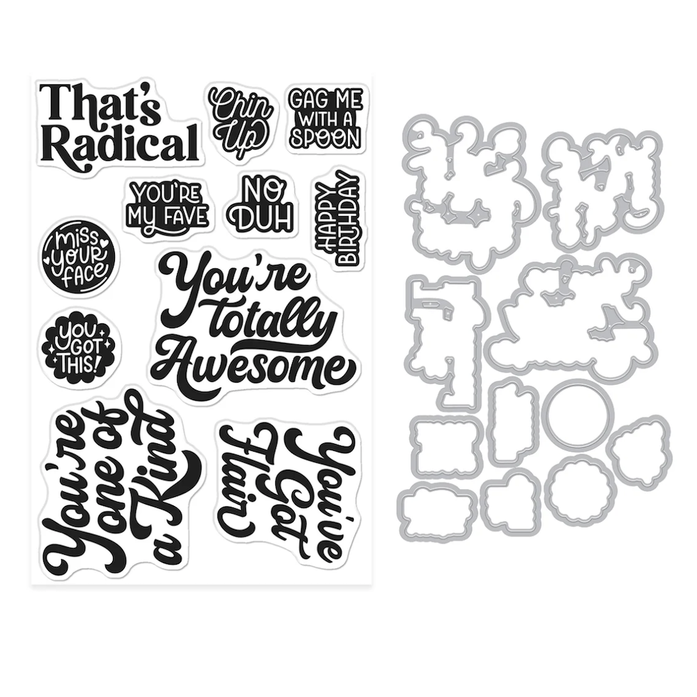 Hero Arts Totally Awesome Clear Stamp and Die Set dc351 product