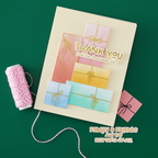 Hero Arts Wrap it Up Letterpress and Foil Plate Set hp127 present