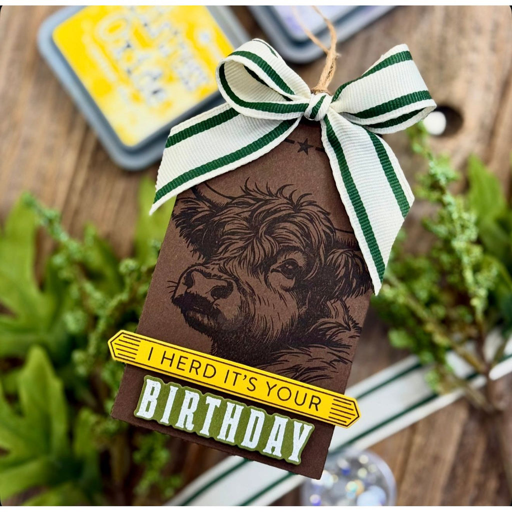 Simon Says Clear Stamps Highland Cows 2267ssc STAMPtember Birthday Card