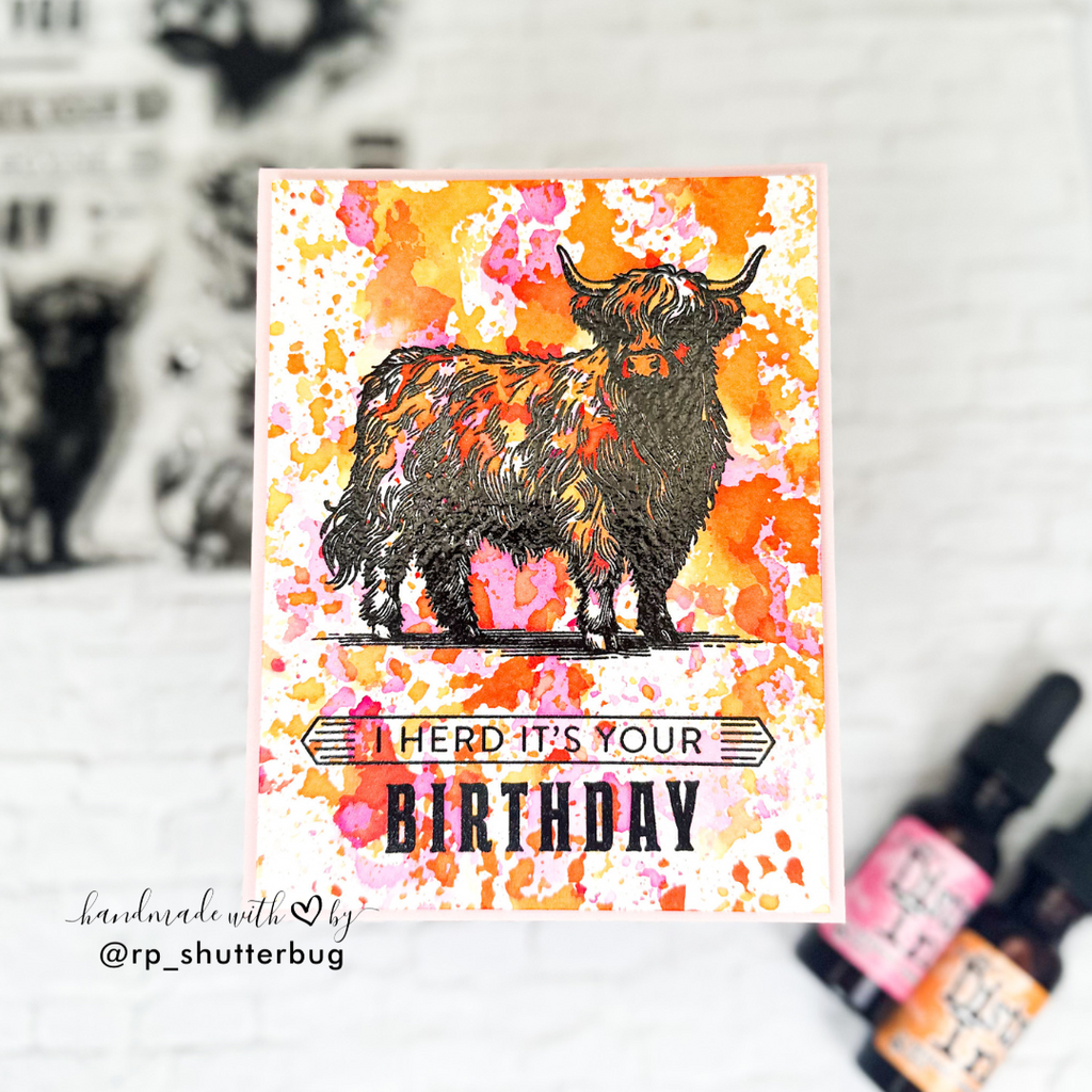 Simon Says Clear Stamps Highland Cows 2267ssc STAMPtember Birthday Card