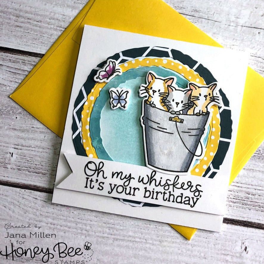 Honey Bee Deckle Edge Circles Dies hbds-dec Cat Birthday Card