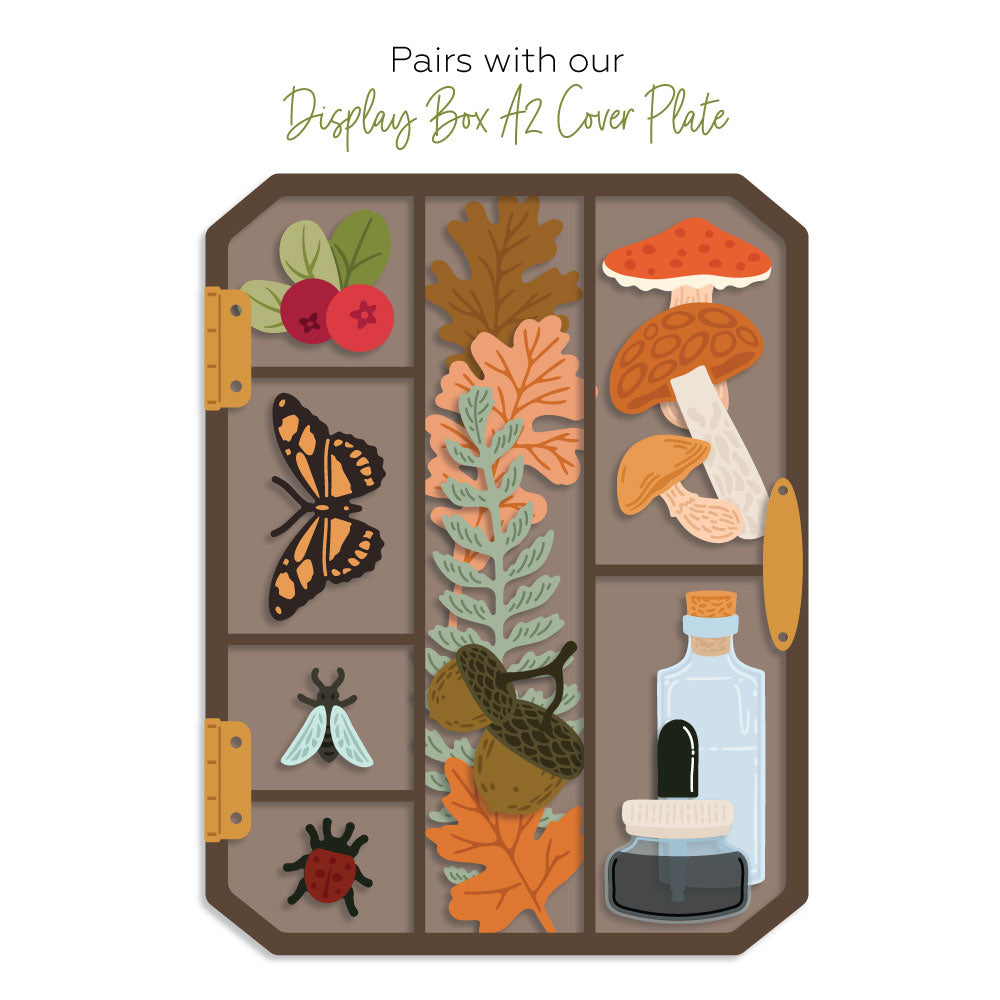 Honey Bee Display Box Fall Add-On Dies hbds-dbfalla A2 Cover Plate