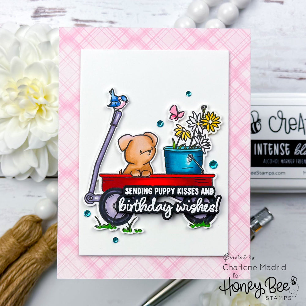 Honey Bee Dog Gone Amazing Stamps And Dies Bundle Charlene Madrid Card