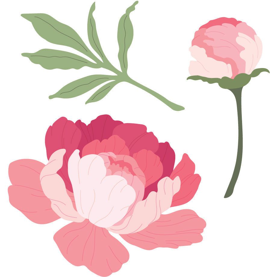 Honey Bee LOVELY LAYERS PEONY Dies hbds-llpny