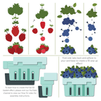 Honey Bee Lovely Layers Berry Basket Dies hbds-llbbskt Strawberry Blueberry