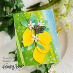 Honey Bee Lovely Layers Citrus Dies hbds-llctrs Hello My Sweet Friend Card