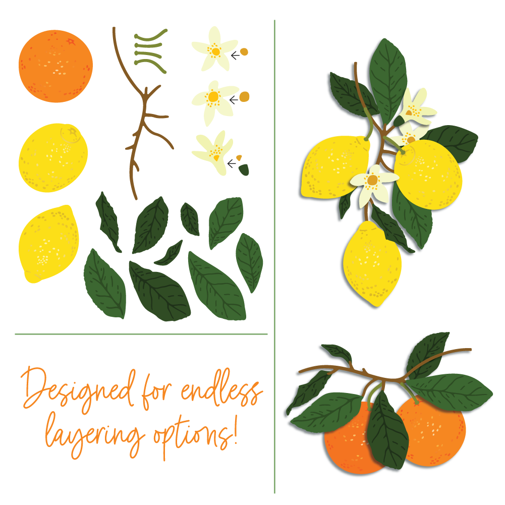 Honey Bee Lovely Layers Citrus Dies hbds-llctrs Summer Fruit