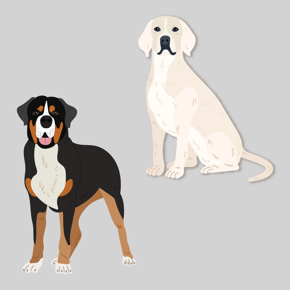 Honey Bee Lovely Layers Large Dogs Dies hbds-lllgdg