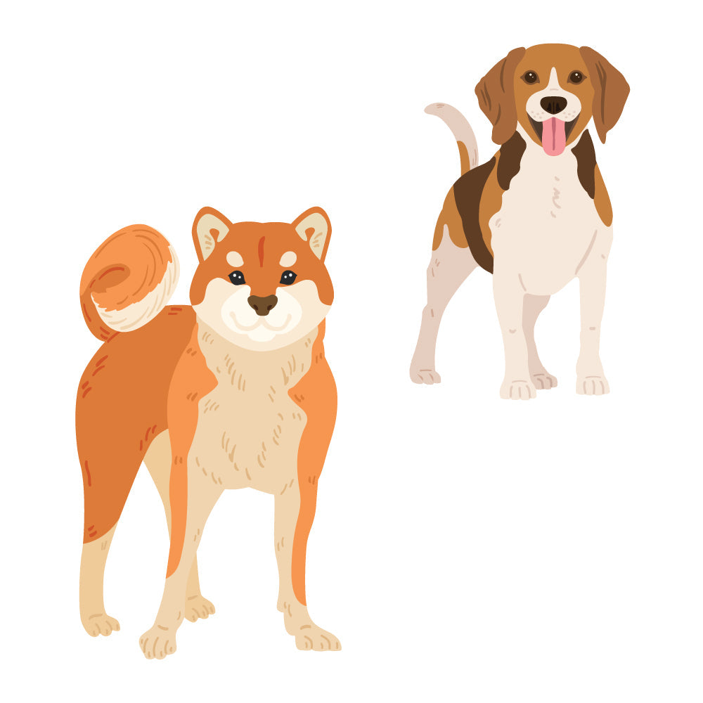 Honey Bee Lovely Layers Medium Dogs Dies hbds-llmdog