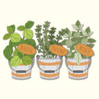 Honey Bee Lovey Layers Herb Garden Dies hbds-llhgrd