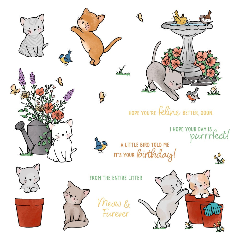 Honey Bee Meow And Furever Cling Stamps hbst-636