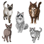Honey Bee Paws And Purrs Cling Stamps hbst-637