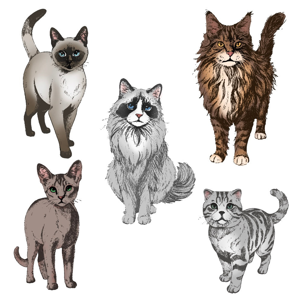 Honey Bee Paws And Purrs Cling Stamps hbst-637