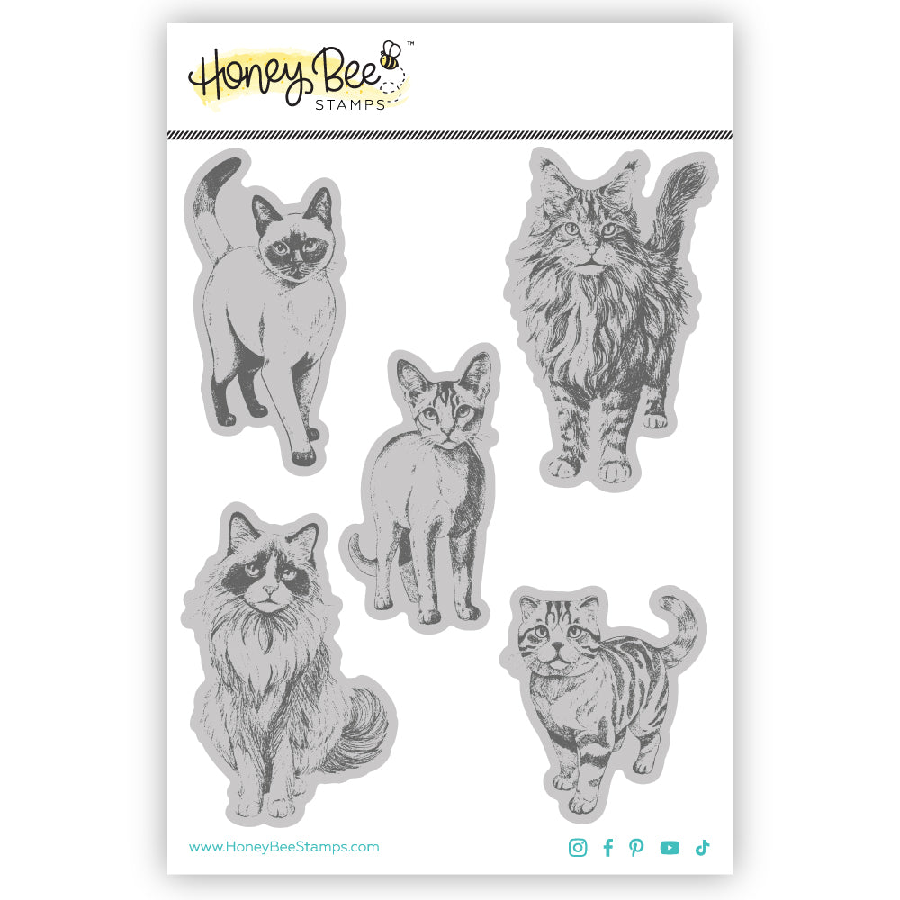 Honey Bee Paws And Purrs Stamps And Dies Bundle Cling Set