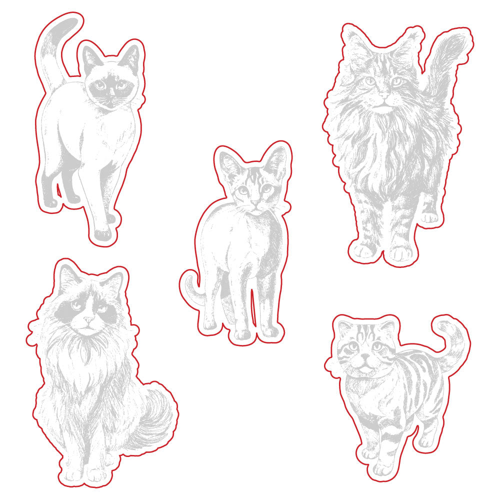 Honey Bee Paws And Purrs Stamps And Dies Bundle Outlines with Stamped Image