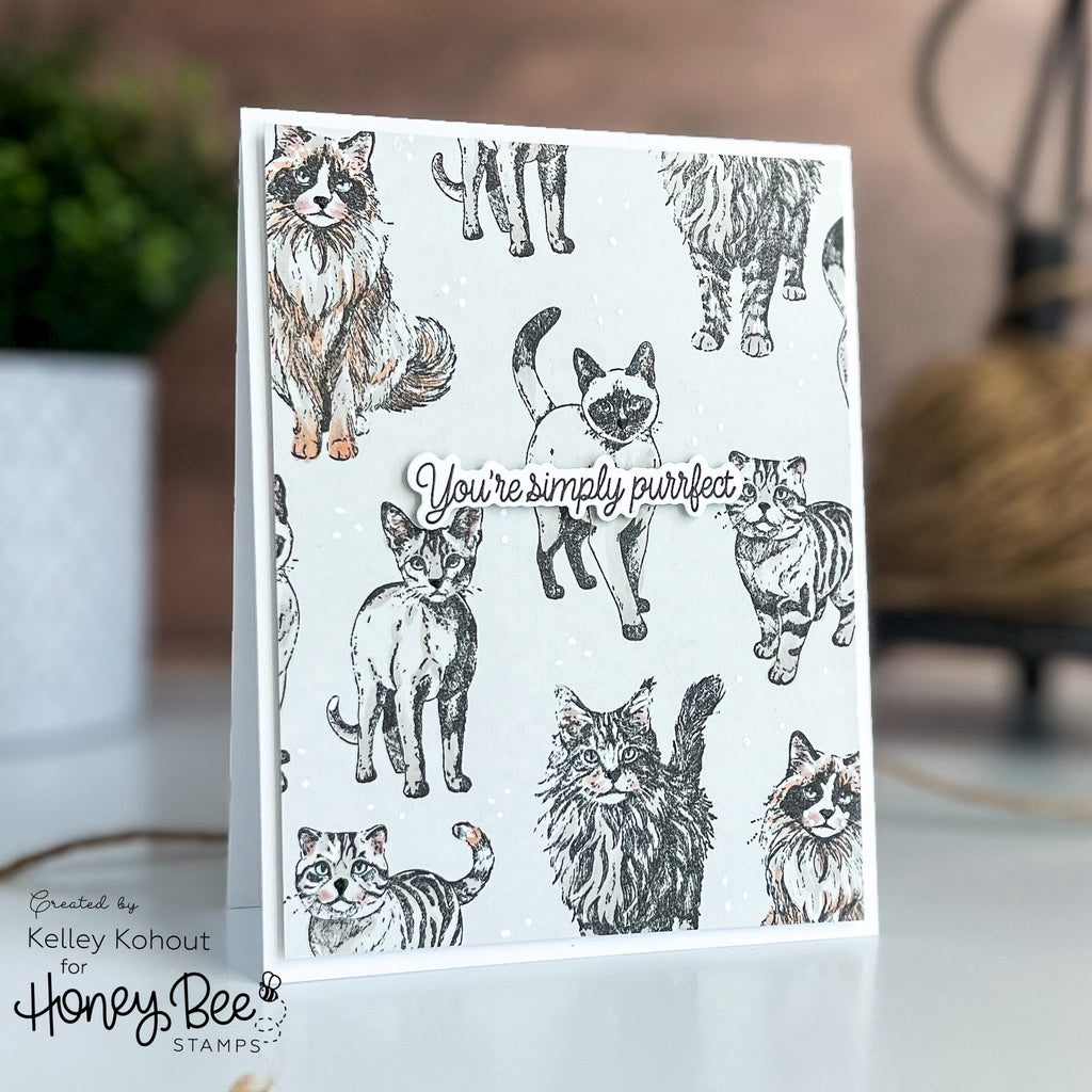 Honey Bee Paws And Purrs Stamps And Dies Bundle You're Simply Purrfect Card