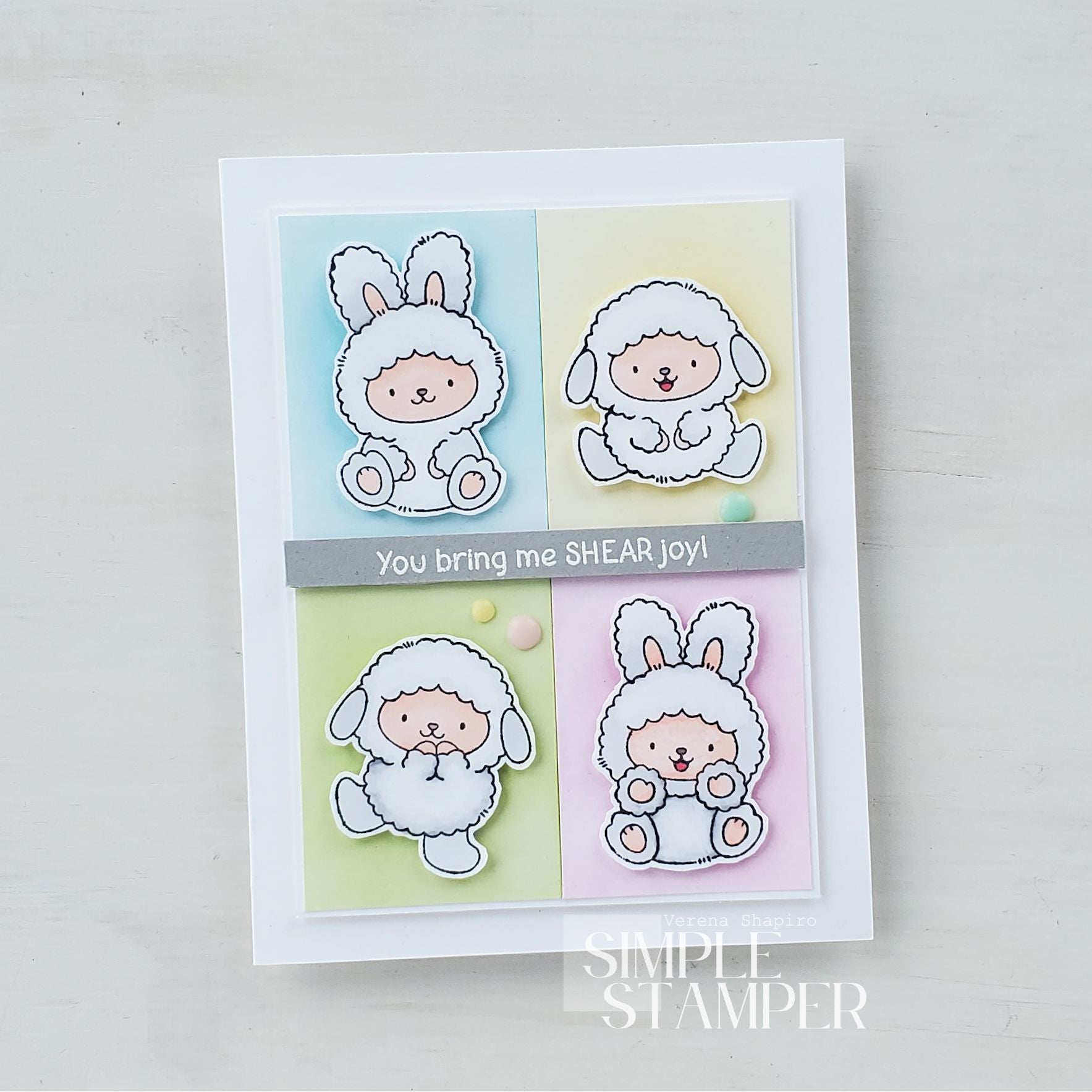 Simon Says Stamp Hoppy Spring Wafer Dies 1559sdc Beautiful Moments Spring Card