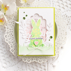 Simon Says Stamp Hoppy Birthday Wafer Dies 1264sdc Rain or Shine Birthday Card | color-code:ALT05