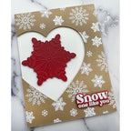 Pink and Main Snowflakes Emboss and Cut Folder pmt071 snowfalkes