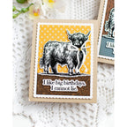 CZ Design Inside Greetings Birthday Wafer Dies czd276c STAMPtember Birthday Card | color-code:ALT03