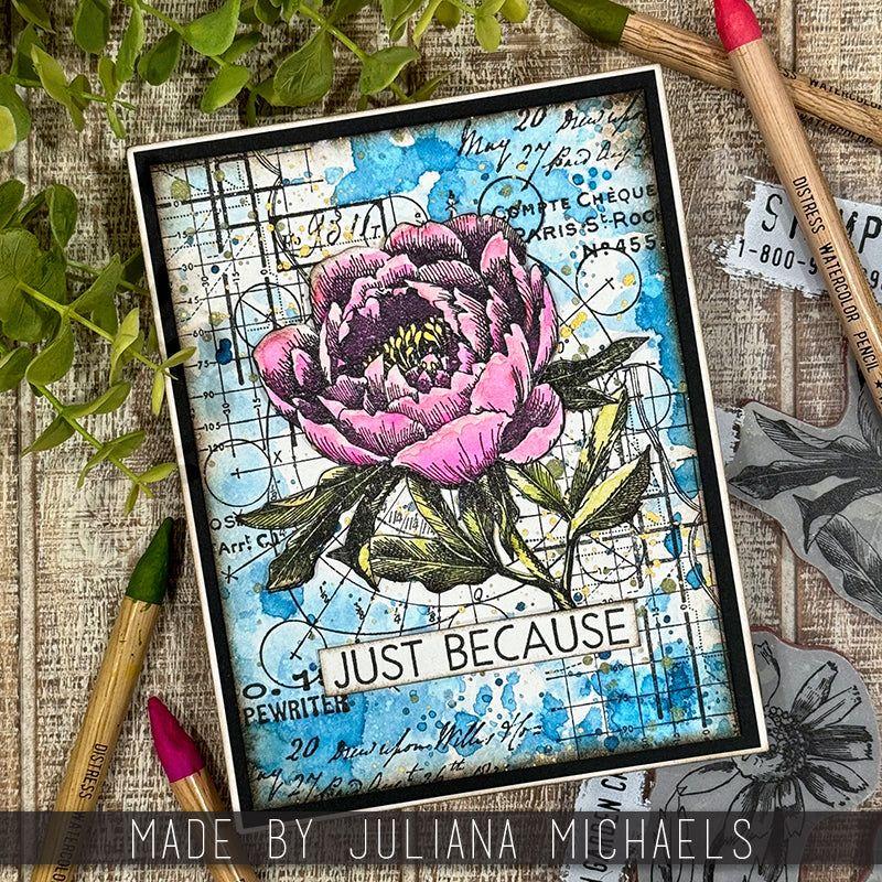 Tim Holtz French Garden Stamps with Simon Says Stamp Dies Bundle setfr24