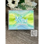 CZ Design Stamps and Dies Just Sayin set1124js DieCember Just Sayin Card