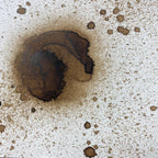 Paper Artsy Just Walnut Infusions Colored Stain cs25 splatter