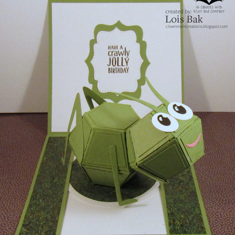 Karen Burniston Bugs Pop Up Ball Animal Add-ons 6 Dies 1325 birthday